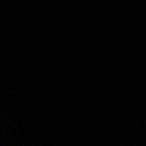 Meet your Posher, Abraham